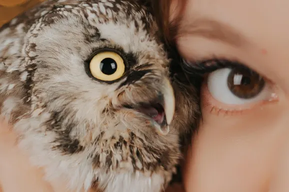 Казино Лъки 31 Поддръжка